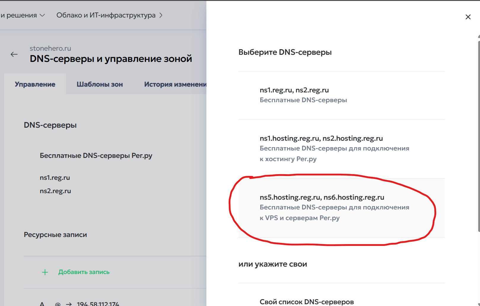 Настройки DNS выбранного домена